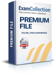 2V0-17.25 Premium File 2V0-17.25 Premium File