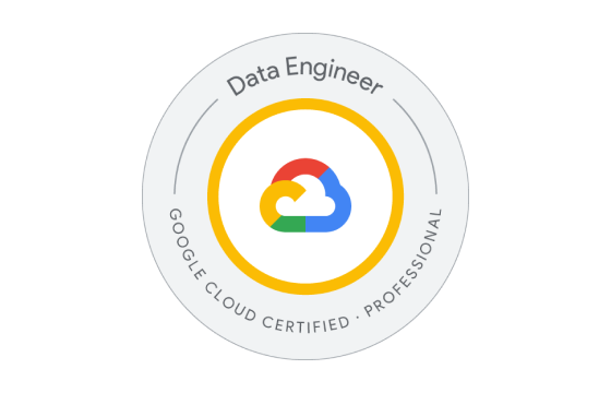 Professional Data Engineer Exams