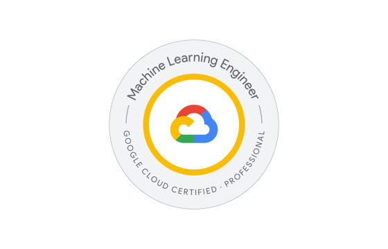 Professional Machine Learning Engineer Exams