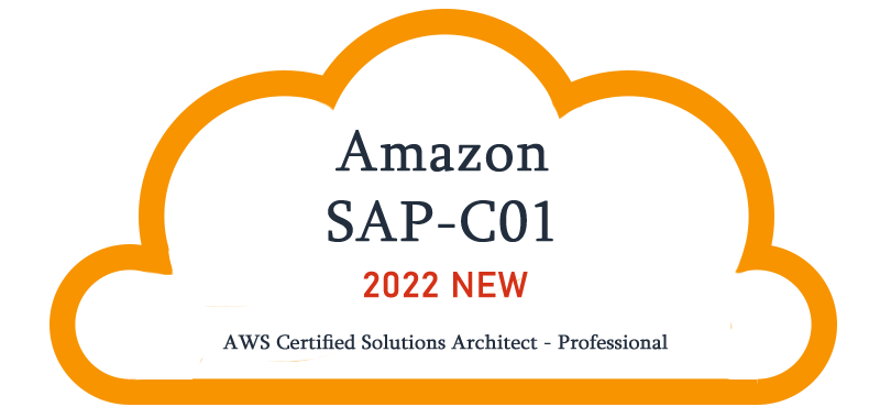 sap-c01 dumps 2022